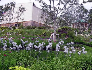 日本ゾーンとコモン６　との間の お花畑